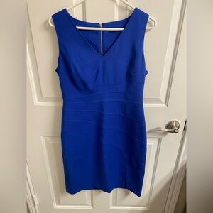 NWT Ivanka Trump Sleeveless Dress